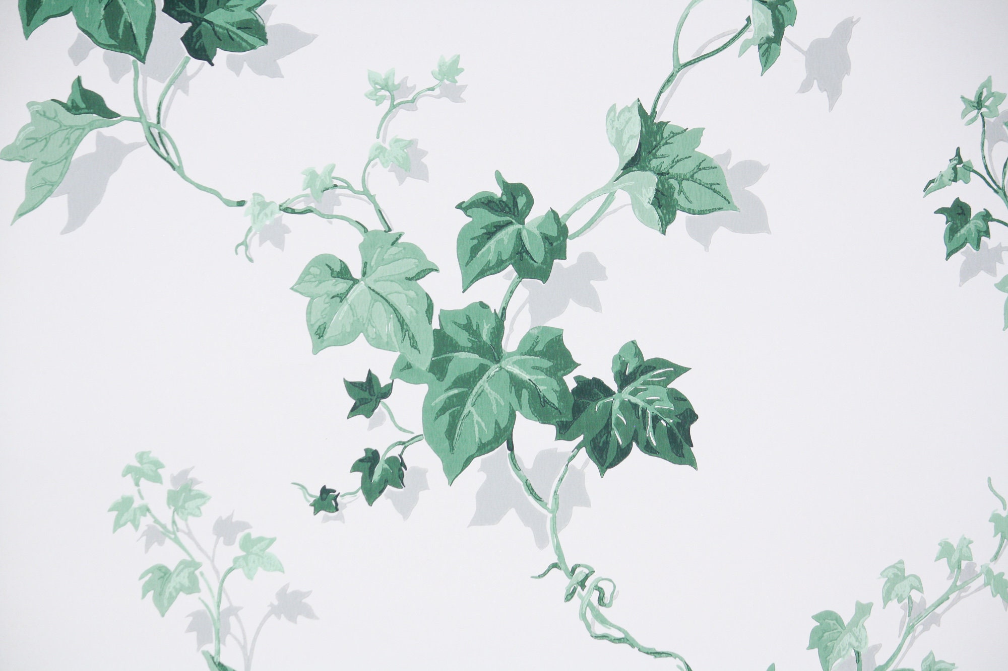 1950s Vintage Wallpaper Mid Century Ivy Botanical Kitchen | Etsy