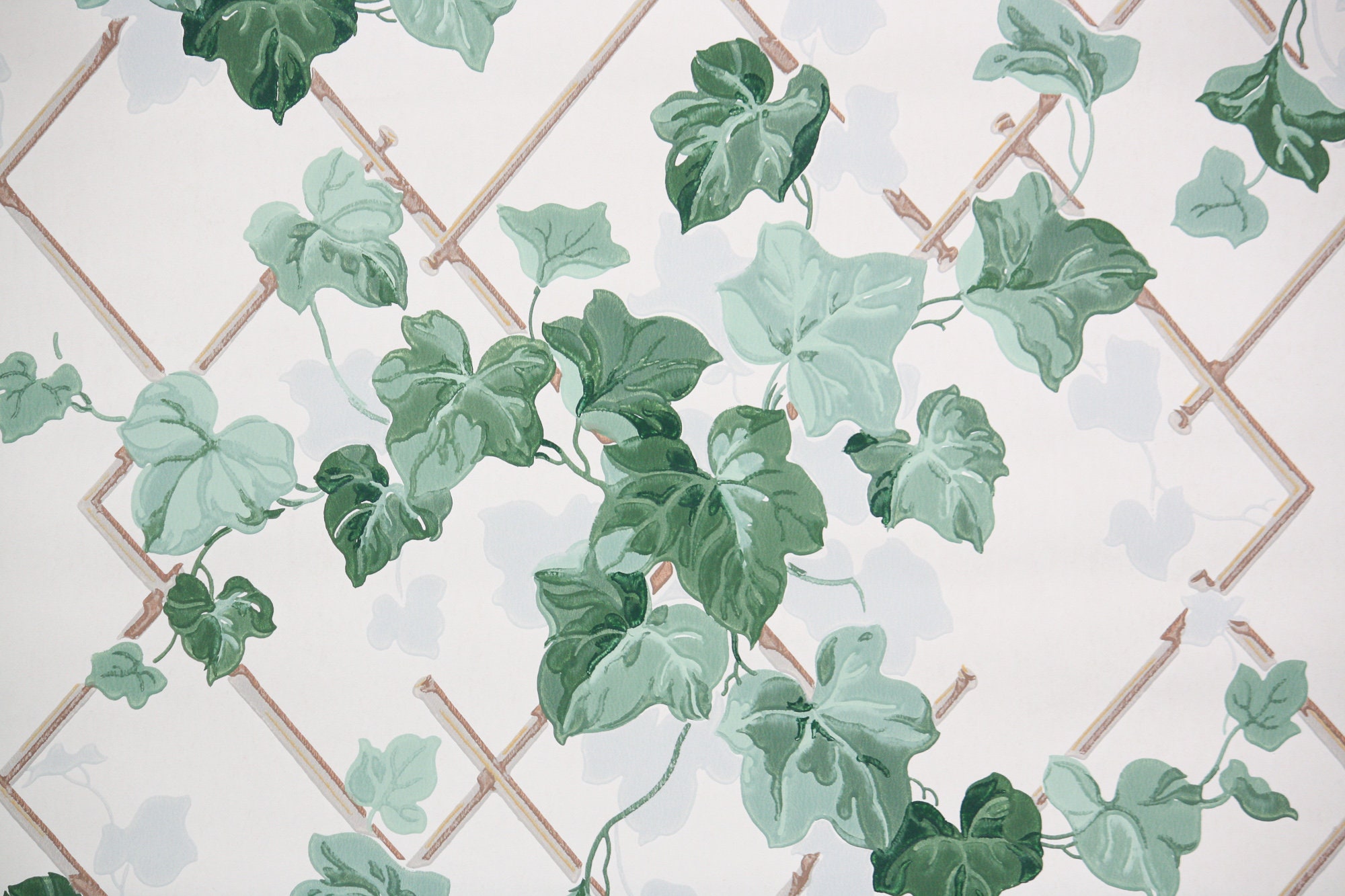 Ivy Wall Pictures  Download Free Images on Unsplash