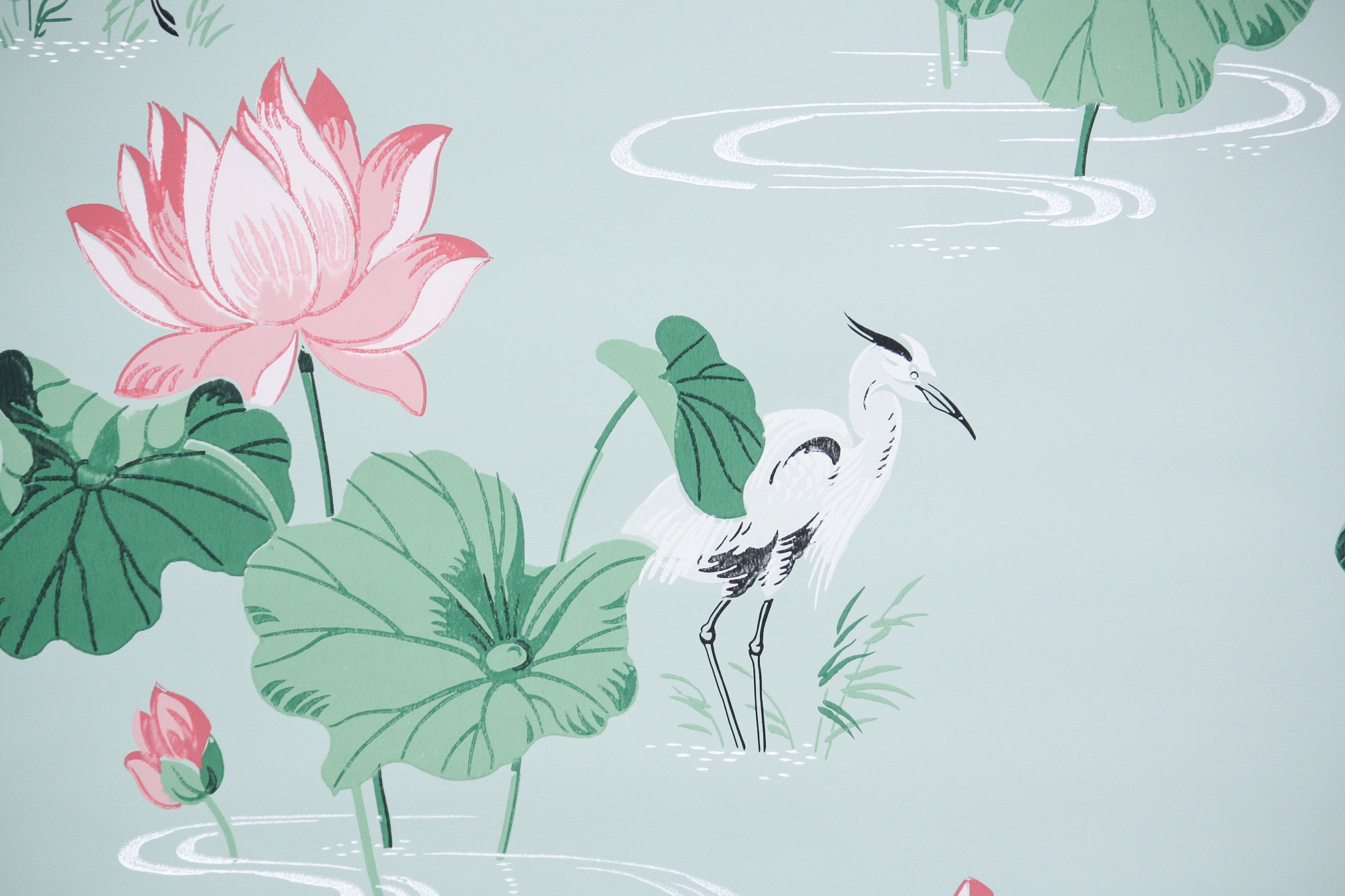 Water Lily Wallpaper - Etsy