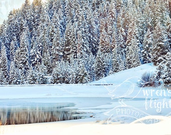 Frosted Lake i Snowy Pines-Digital Download-wesoły i jasny sztuk pięknych fotografii