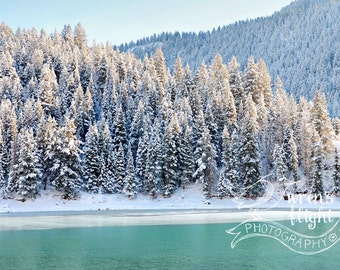 Turqoise Mountain Lake i Frosted Pines-cyfrowy Download-wesoły i jasny sztuk pięknych fotografii