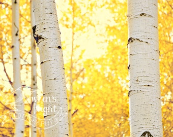 Golden Aspen Leaves - Digital Download - Cheerful and Bright Fine Art Photography