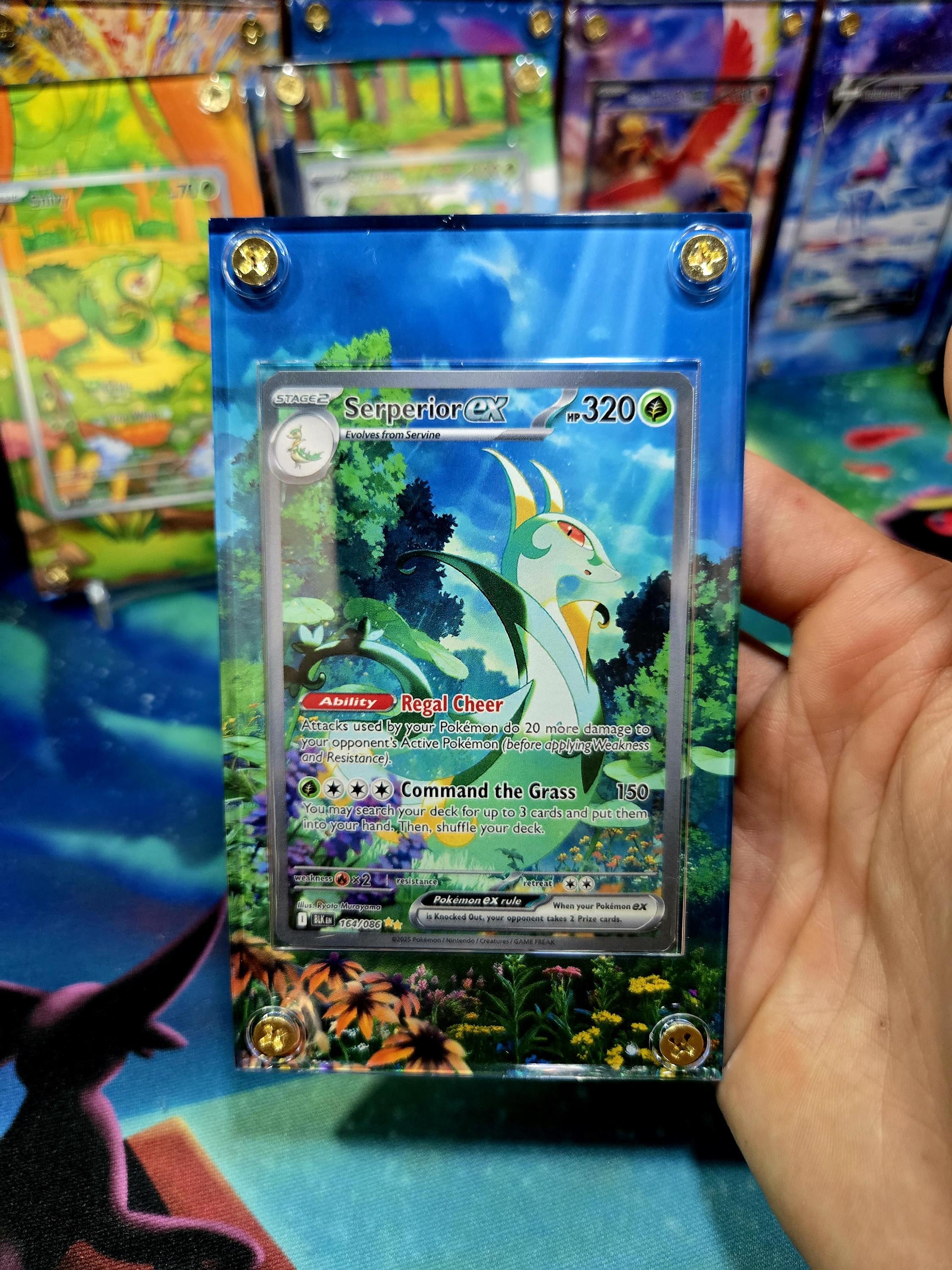 Pokemon Serperior EX SIR 164/086 Black Bolt Extended Art Case - Etsy Pokemon Serperior EX SIR 164/086 Black Bolt Extended Art Case - Etsy