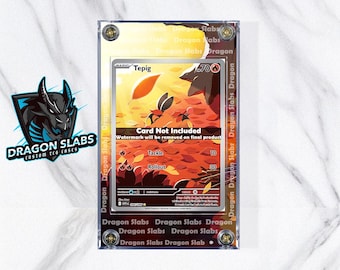 Pokemon Tepig IR 096/086 White Flare Extended Art Case