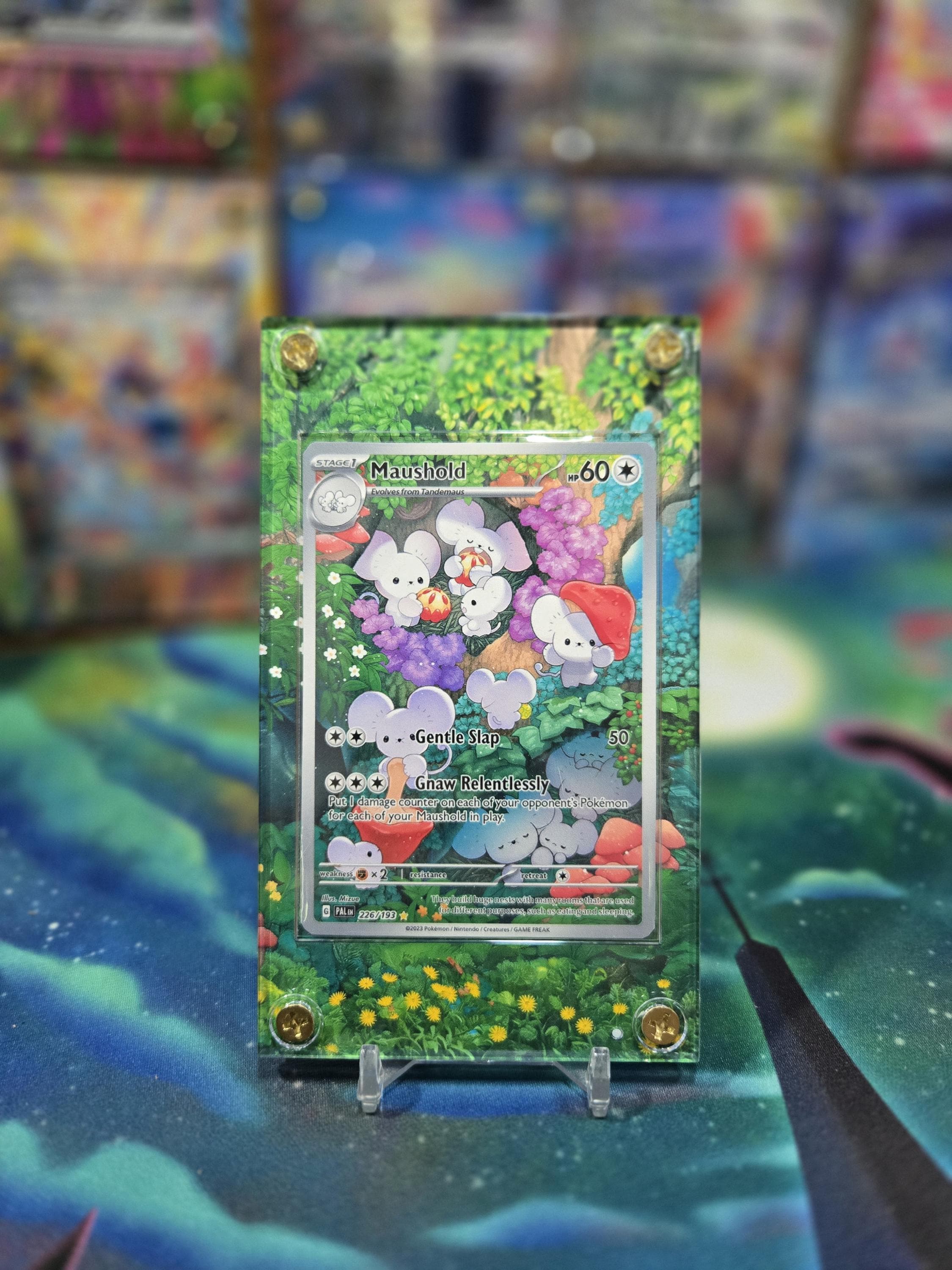 maushold card sleeves Macpaper.com - Custom Printed