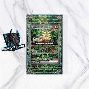 Pokemon Gouging Fire EX 204 Custom Display Case Extended Artwork from Silver Tempest