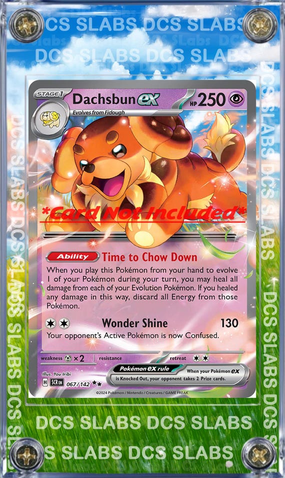 Pokemon Dachsbun EX Stellar Crown Stellar Miracle 067/142 Card Custom  Display Case - Etsy