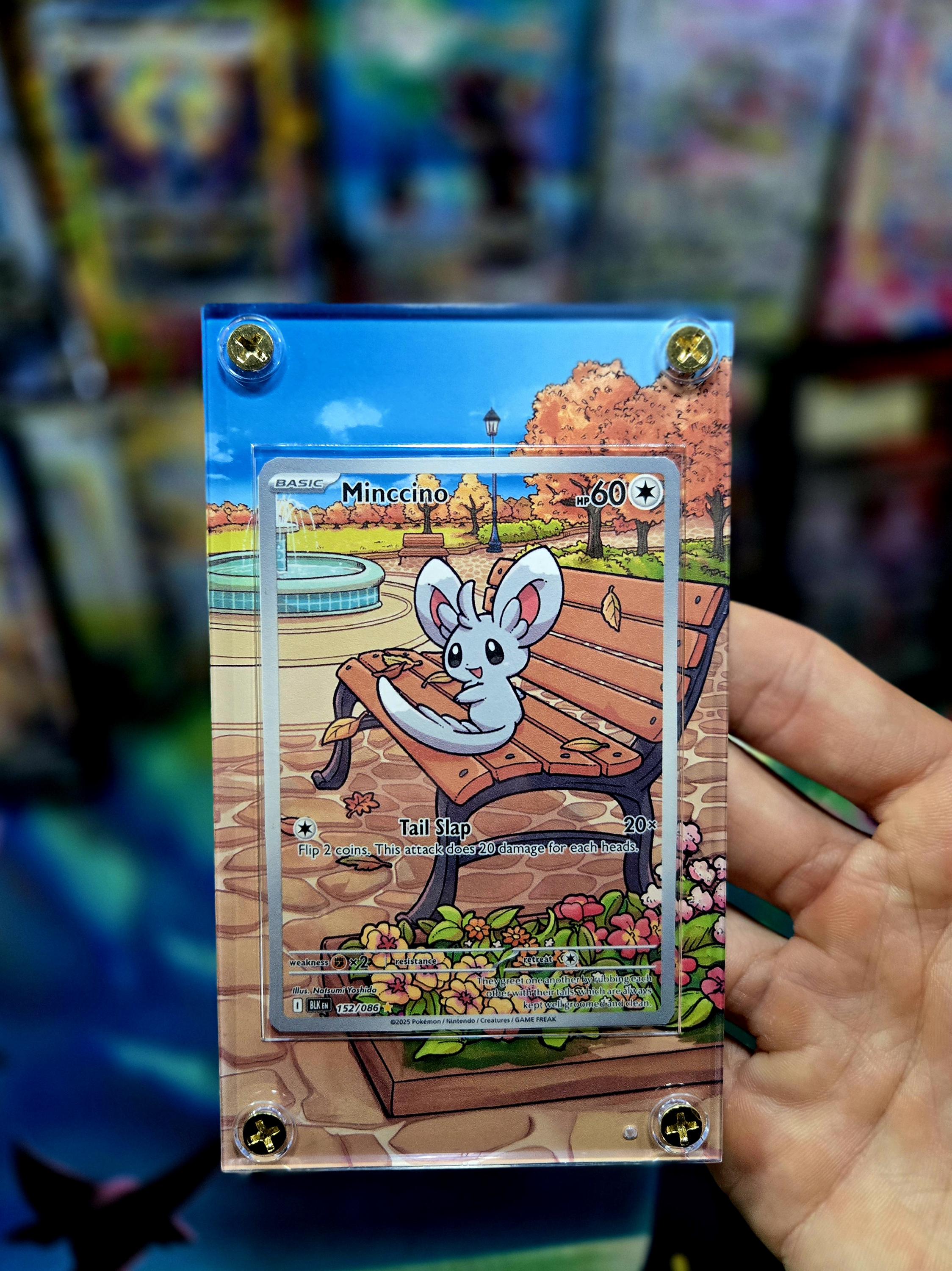minccino pokemon card price Minccino SV093/SV122 Shiny Holo Rare Pokemon Card Near Mint