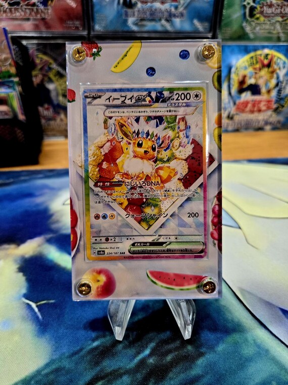 ポケモンカード イーブイ ex SAR 224/187 sv8a テラスタル