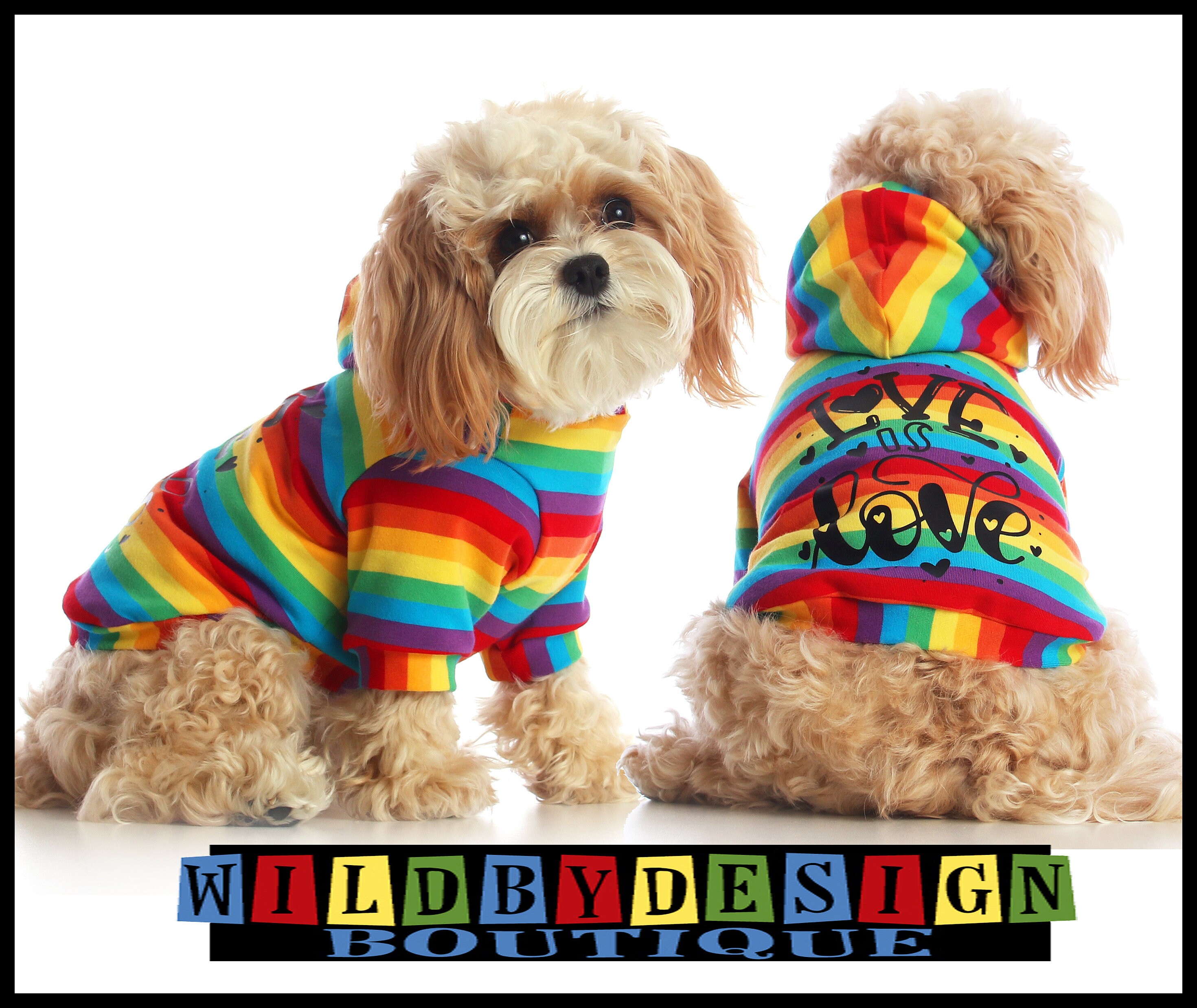 pride dog clothes