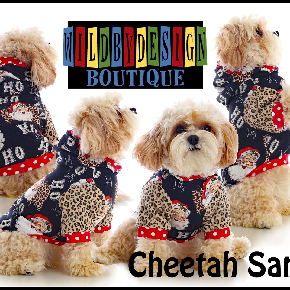 Christmas Dog hoodie, Rudolph dog hoodies