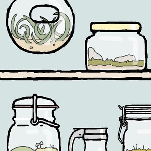 Terrarium Art: Collector of Worlds image 3