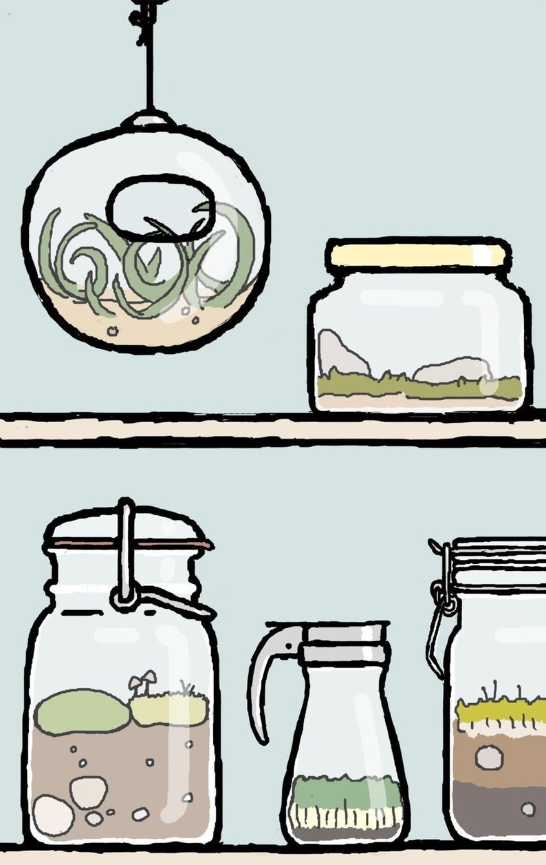 Terrarium Art: Collector of Worlds image 3