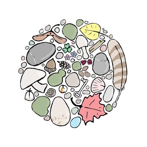 Natur sammlung Kunstdruck: "Sorgfältig arrangiert"