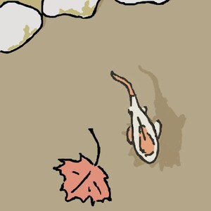 May include: A white and orange fish swims in a pond with a red maple leaf floating on the surface.  The pond is surrounded by white rocks.