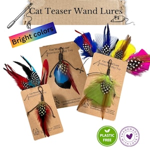 Feather cat teaser wand and accessories