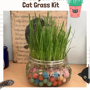 May include: A glass jar filled with colorful beads and water, with green cat grass growing out of the top. The jar is sitting on a wooden surface. A black cat is peeking out from behind the jar. The text "Grow your Own Cat Grass Kit" is at the top of the image.