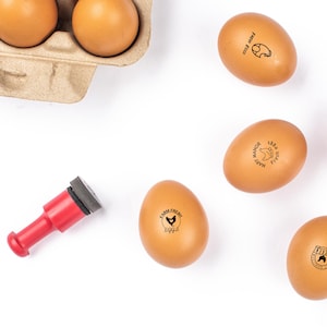 Gepersonaliseerde eierstempel: liefdeseistempel, schattige eierstempel, boerderijstempel, kippeneistempel, boerderijstandaard mini-eierstempel, stempel vers ei, eieretiketten
