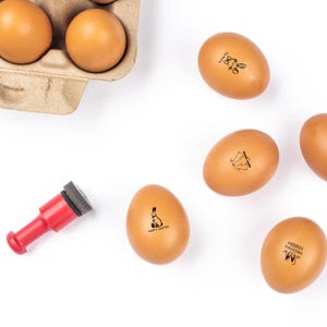 Gepersonaliseerde paaseistempel: Love Egg-stempel, Easter Egg Deigh, boerderijstempel, Joyful Easter Egg-stempel, boerderijstandaard mini-eierstempel, verse eierstempel