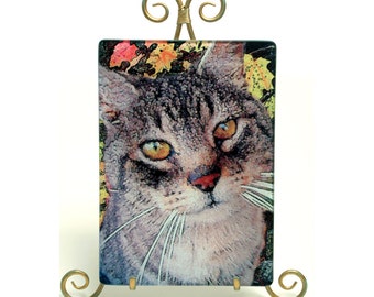 Tabby cat, glass cutting board, cat gift , pet gift , silver tabby, cat art, tabby cat, tabby cat art, glass cat  art
