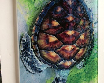 Turtle, glass cutting board, , sea life, sea art,turtle art, turtle trivet