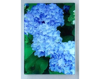 Blue Hydrangea glass cuttingboard, Hydrangea glass, hydrangea art, , Hydrangea gift, flower gift, Hydrangea trivet,blue Hydrangeas