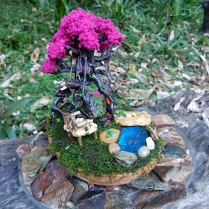 Puede incluir: Una escena de jardín de hadas en miniatura con un árbol rosa, una pequeña silla de madera y un estanque azul con peces naranjas. El jardín está rodeado de rocas y musgo.