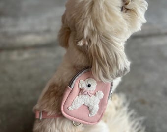 Conjunto de arnés y correa para mochila para mascotas