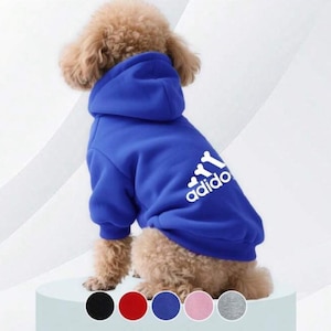 May include: A dog wearing a royal blue hoodie with a white "adido" logo. The hoodie has a hood and long sleeves. The dog is sitting on a white surface, with a row of coloured circles at the bottom.