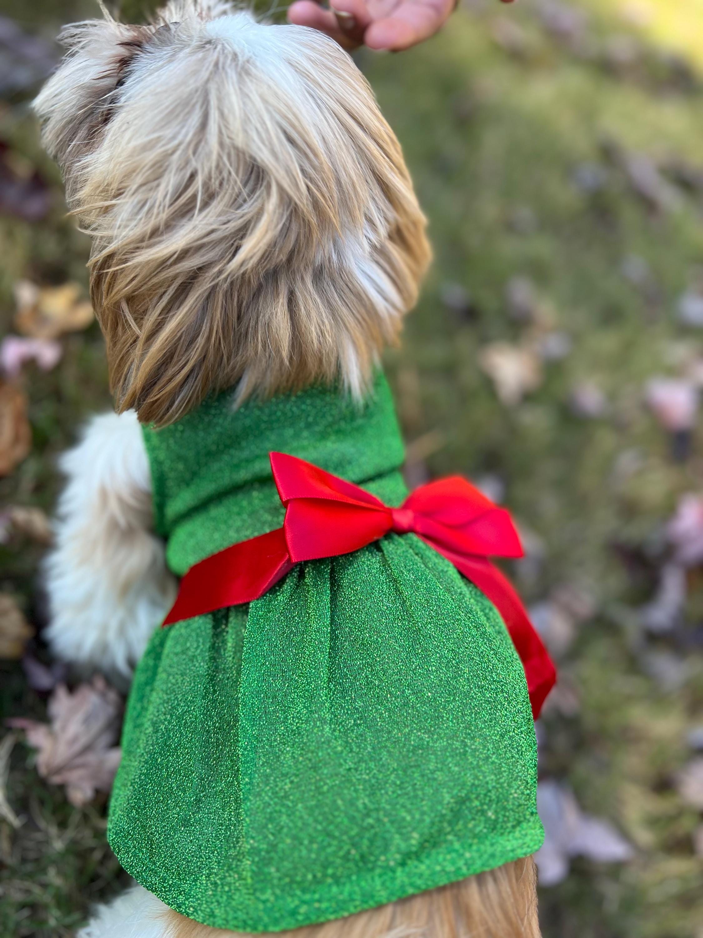 Christmas Dog Dress