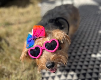 Gafas de sol para mascotas: forma de corazón