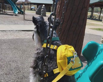 Conjunto de arnés y correa para mochila grande para mascotas