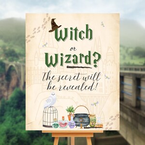 May include: A decorative sign with the text "Witch or Wizard? The secret will be revealed!" in green and black. The sign features illustrations of a sorting hat, a wand, a snowy owl, potion bottles, and a cauldron. The sign is displayed on a wooden easel.
