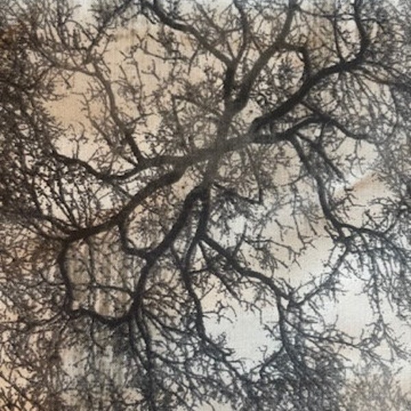 Gray Roots & Branches 1/2 Yard