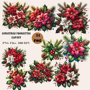 24 Christmas Poinsettia Clipart, Christmas Flowers PNG, Christmas Bouquets Clipart, Poinsettia Decor Clipart