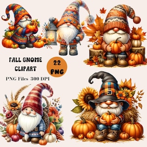 22 Fall Gnome Clipart, Autumn Gnome Clipart, Fall Gnome PNG, Pumpkin Spice Gnomes Clipart, Thanksgiving Gnome Clipart