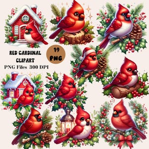 19 Rotkardinal Clipart Bundle, Rotkardinal Weihnachten PNG, Weihnachtsvogel Illustrationen, Kardinal Clipart Bundle