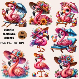 13 Summer Flamingo Clipart, Cute Flamingo PNG Bundle, Tropical Flamingo Clipart, Summer Sublimation