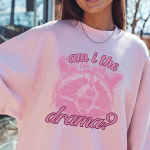 May include: A light pink sweatshirt with a raccoon graphic and the text "am i the drama?". The raccoon graphic and text are in a darker shade of pink. The sweatshirt has long sleeves and a crew neck.