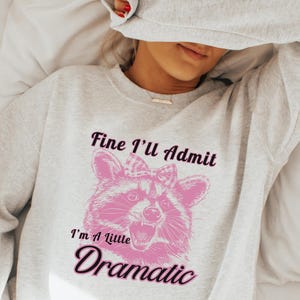 May include: A gray sweatshirt with a pink raccoon graphic and the text "Fine I'll Admit I'm a Little Dramatic".