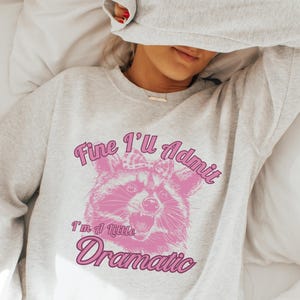 May include: A gray sweatshirt with a pink raccoon graphic and the text "Fine I'll Admit I'm a Little Dramatic".