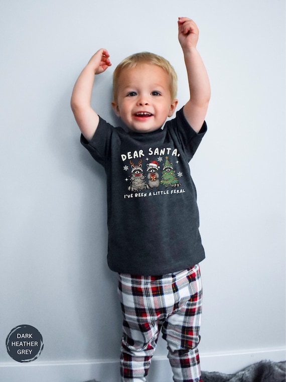 Toddler Christmas Shirt: Christmas Raccoon Toddler Shirt