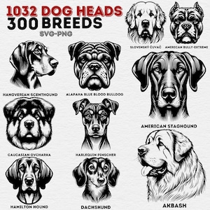1032 Dog Heads SVG Bundle, Complete Dog Breeds Clipart, SVG and PNG Vector Graphics, Breed Specific Dog Portraits, Customizable Dog Art