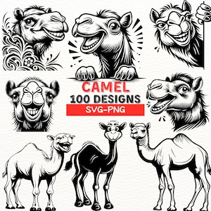 Disegni SVG PNG di cammelli per Cricut e sublimazione / Grafica di cammelli dei cartoni animati di alta qualità / Perfetti per progetti fai da te e artigianato