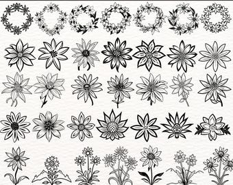 Paquete SVG de flor de edelweiss, 200 diseños florales digitales, imágenes prediseñadas PNG de edelweiss, arte lineal botánico, corona de flores silvestres, archivos vectoriales EPS
