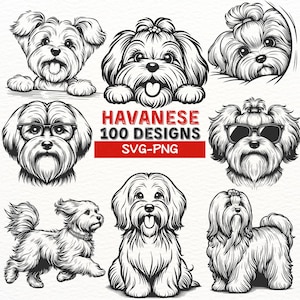 Havaneser Hund SVG Bundle, 100 einzigartige Havaneser Designs, PNG Schnittdateien für Cricut, Havaneser Welpe Clipart, süßer Hund Silhouette Vektorkunst
