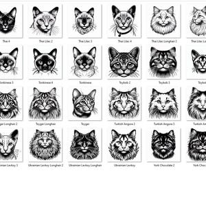 May include: A collection of 64 black and white illustrations of different cat breeds. Each illustration is a close-up of the cat's head and features a unique style.