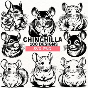 Paquete SVG PNG de chinchilla, lindas imágenes prediseñadas de chinchilla, silueta de animal, archivos de corte de animales domésticos para Cricut, grabado láser