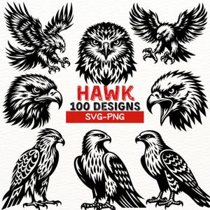 Pacote Hawk SVG | Clipart de pássaro águia para Cricut | PNGs de pássaros predadores | Arte de silhueta de falcão para projetos de sublimação e artesanato