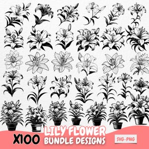 Pacote de design de flor de lírio SVG PNG, ilustrações de arte de linha floral para Cricut, clipart digital de lírio, vetor botânico, download instantâneo